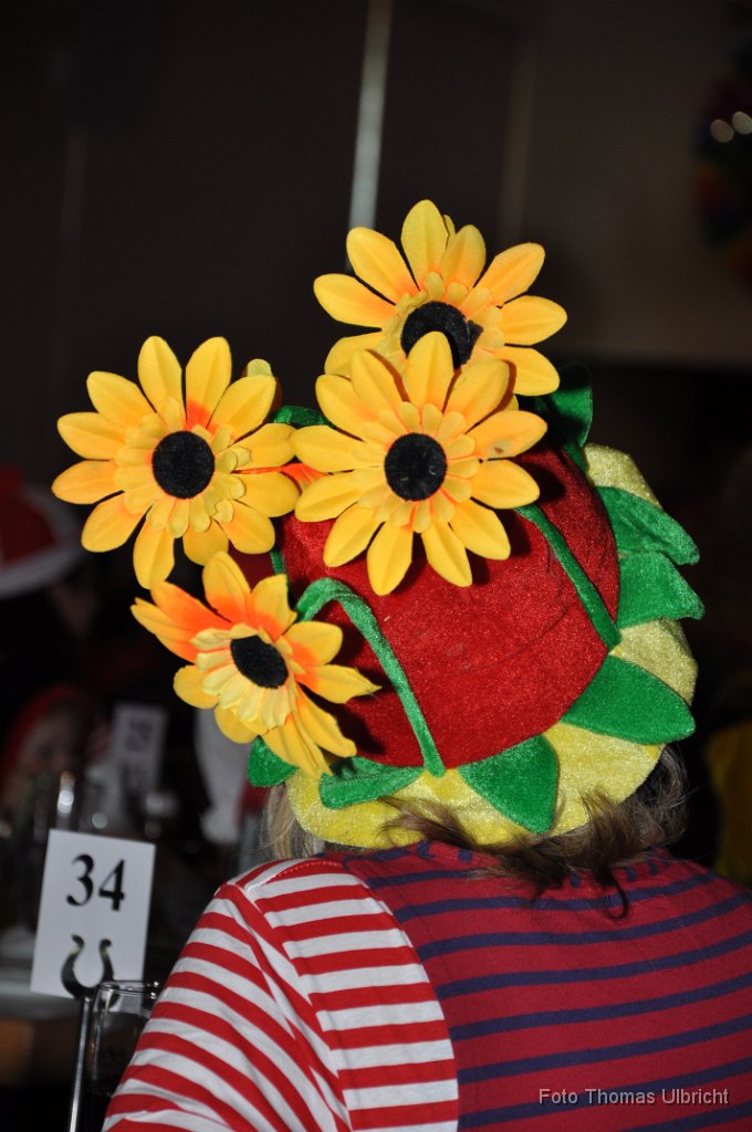 2014-02-09_09_Kinderfaschingsball_TU.JPG - (C)Thomas Ulbricht   ulbi@gmx.com