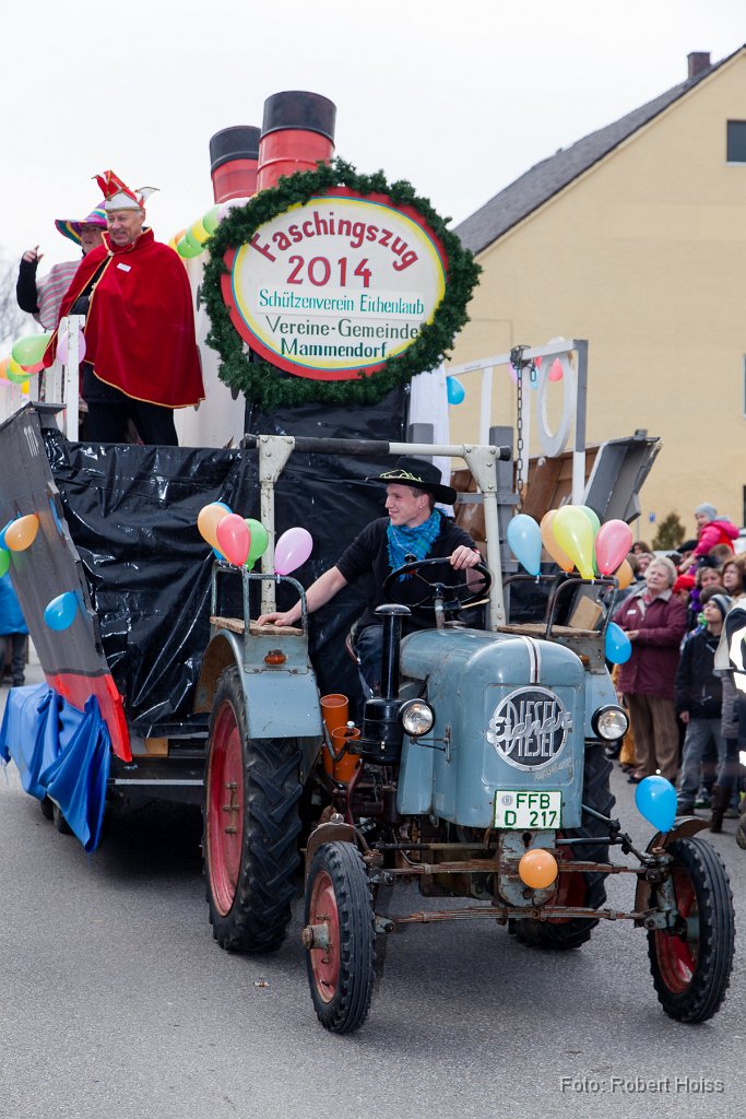 2014-03-04_46_Faschingszug_5184_RH.jpg