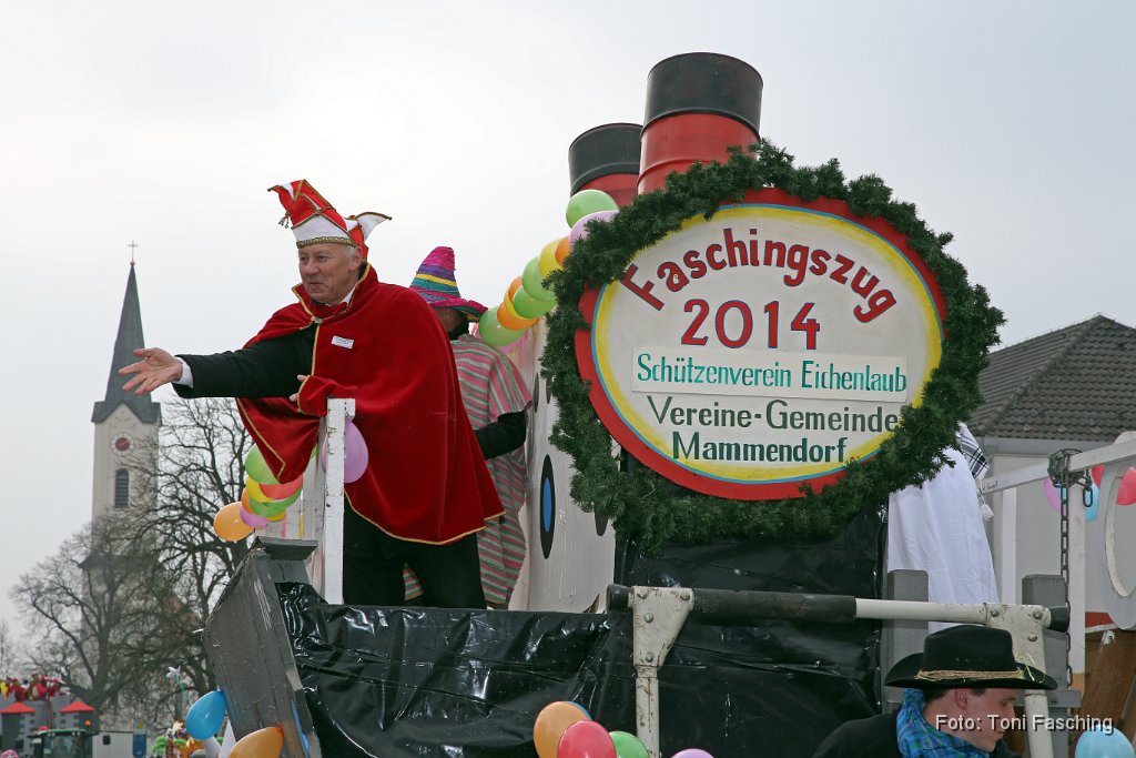 2014-03-04_001_Faschingszug_TF.JPG