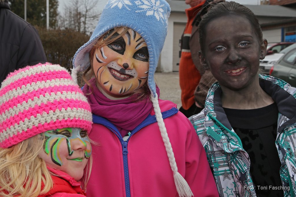 2014-03-04_010_Faschingszug_TF.JPG