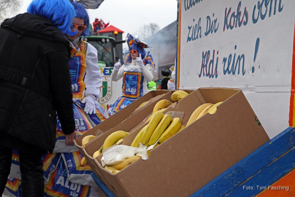 2014-03-04_017_Faschingszug_TF.JPG