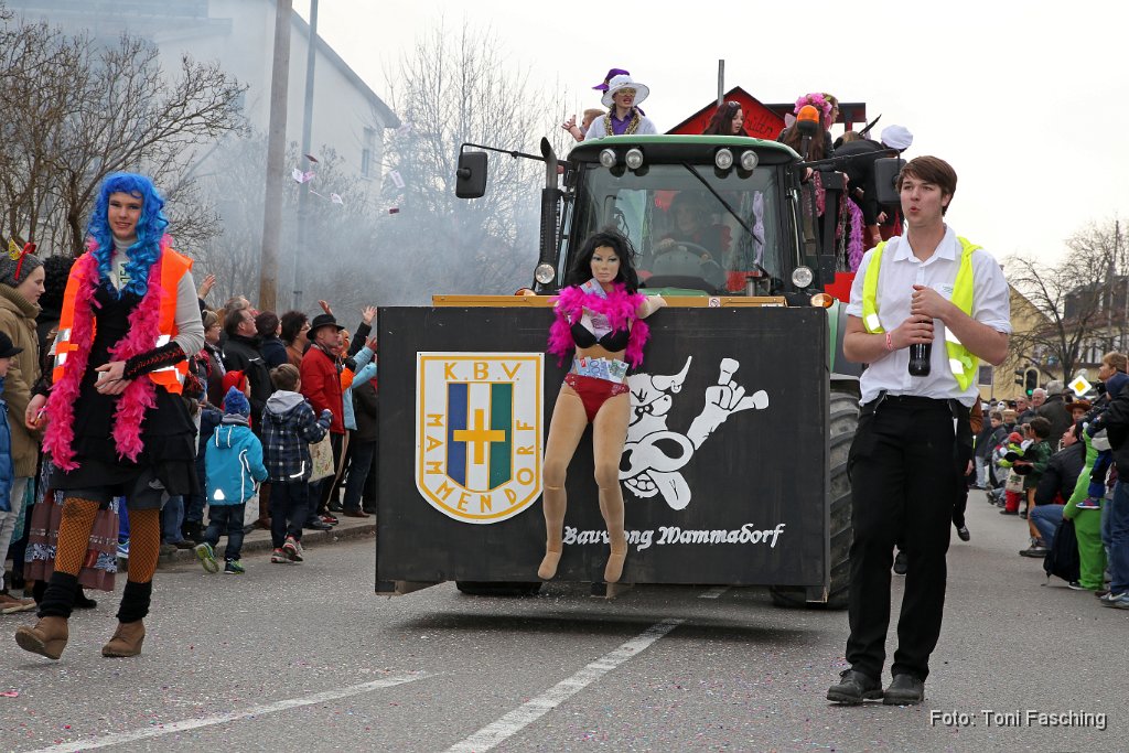 2014-03-04_030_Faschingszug_TF.JPG
