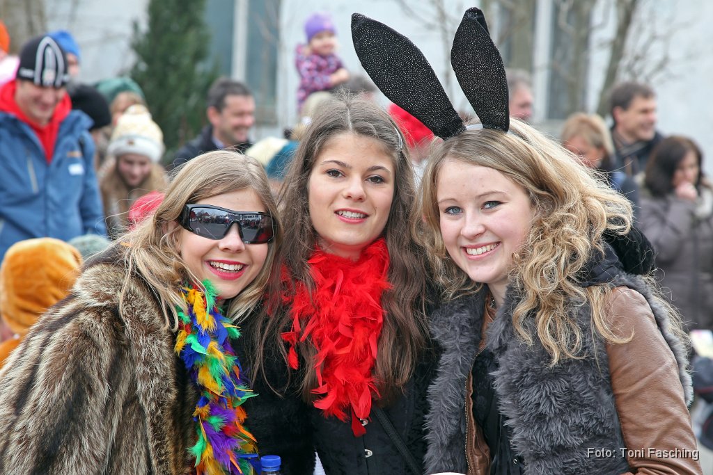 2014-03-04_034_Faschingszug_TF.JPG