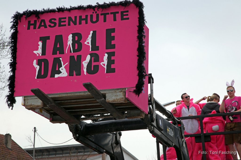 2014-03-04_037_Faschingszug_TF.JPG