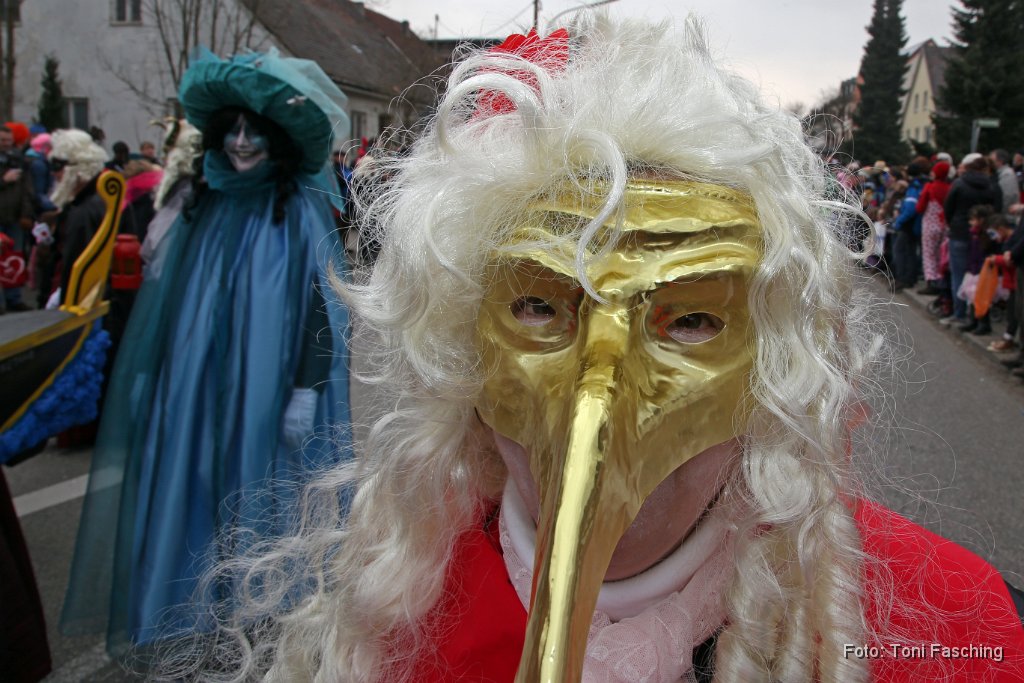 2014-03-04_041_Faschingszug_TF.JPG