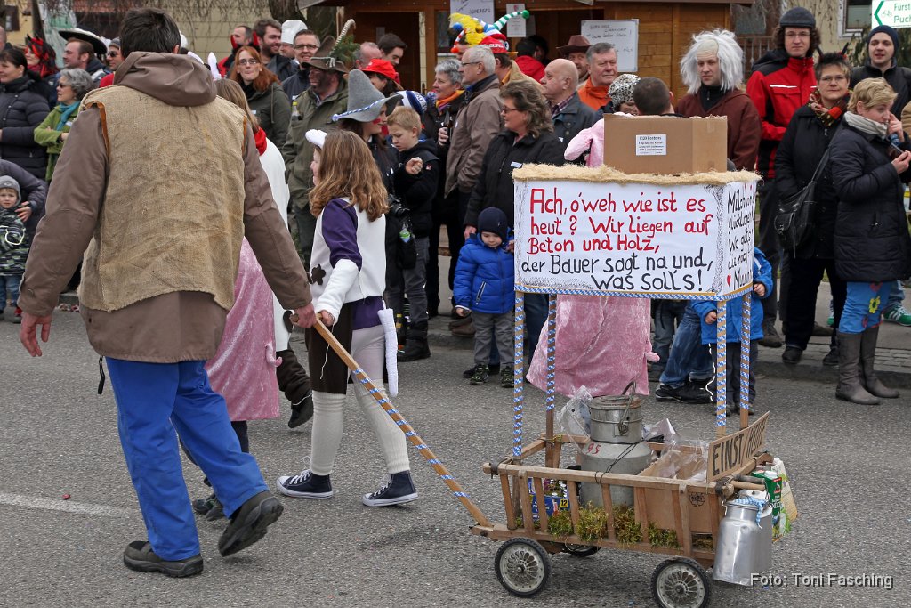 2014-03-04_047_Faschingszug_TF.JPG