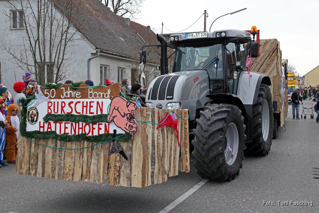 2014-03-04_048_Faschingszug_TF.JPG