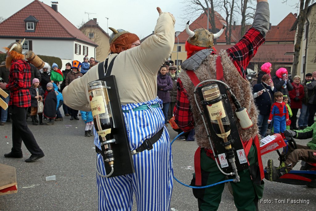 2014-03-04_098_Faschingszug_TF.JPG