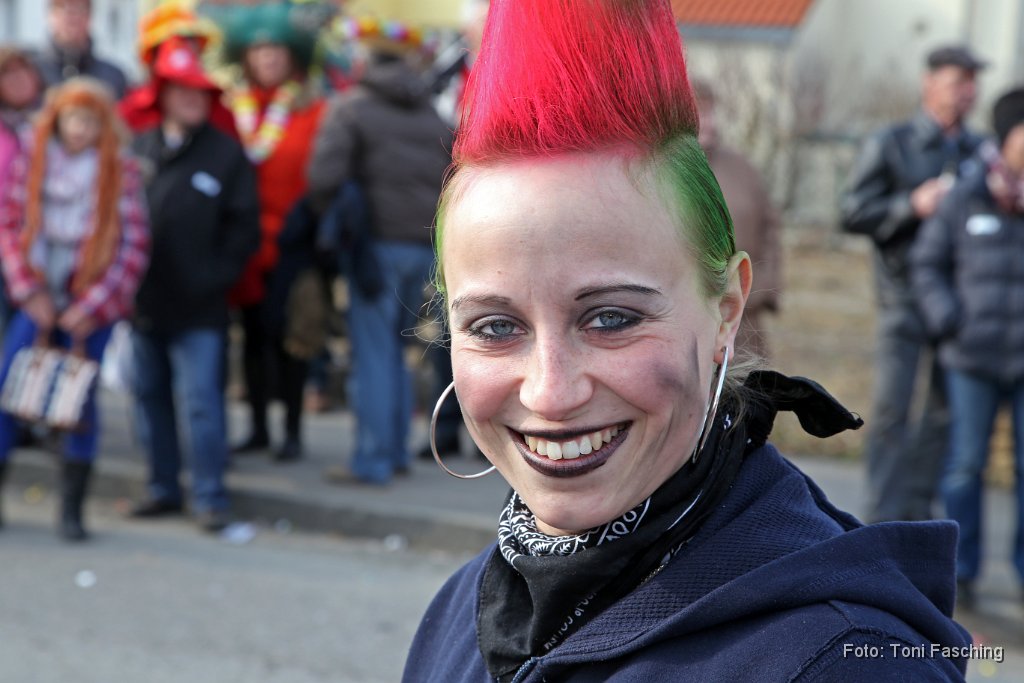 2014-03-04_119_Faschingszug_TF.JPG