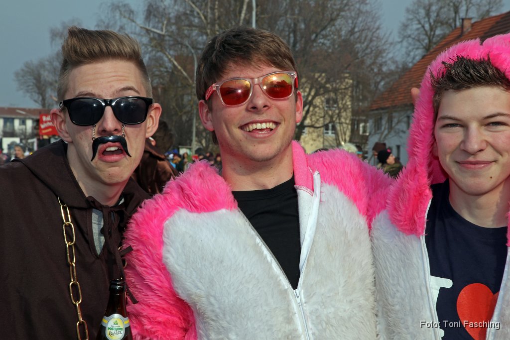 2014-03-04_120_Faschingszug_TF.JPG