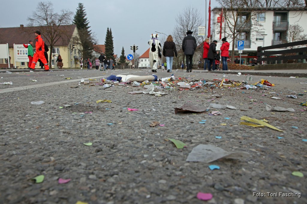 2014-03-04_142_Faschingszug_TF.JPG
