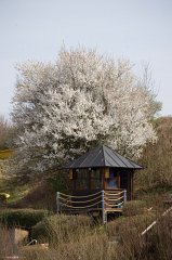 2014-03-22_Freibad_Frühling_01_MP