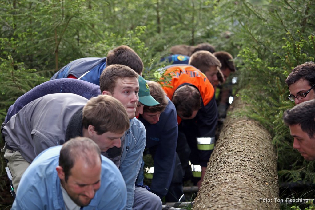 2014-04-29_16_Maibaum_holen_TF.JPG