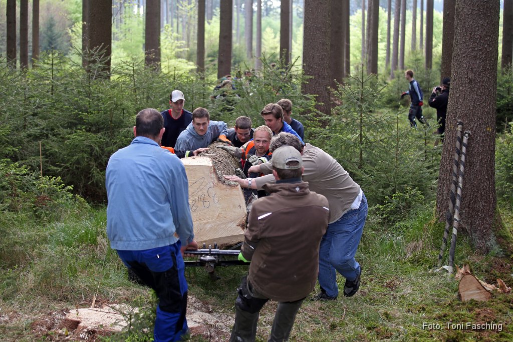 2014-04-29_22_Maibaum_holen_TF.JPG
