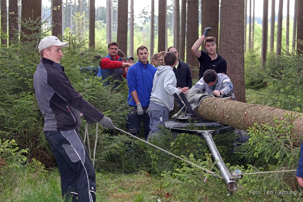 2014-04-29_31_Maibaum_holen_TF.JPG