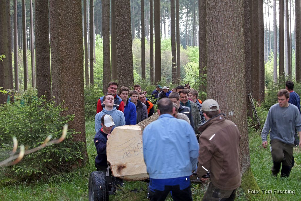 2014-04-29_33_Maibaum_holen_TF.JPG