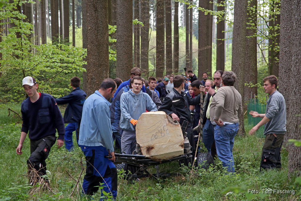 2014-04-29_35_Maibaum_holen_TF.JPG