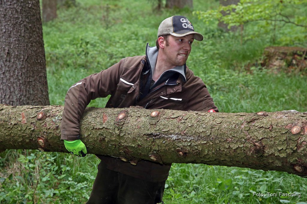 2014-04-29_44_Maibaum_holen_TF.JPG