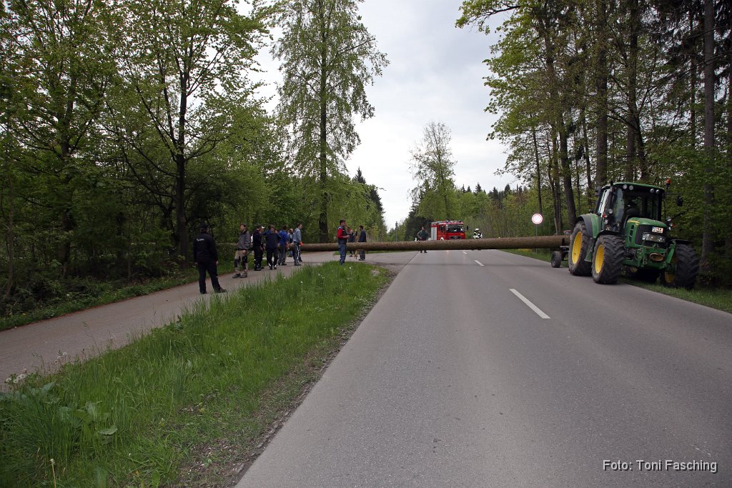 2014-04-29_48_Maibaum_holen_TF.JPG