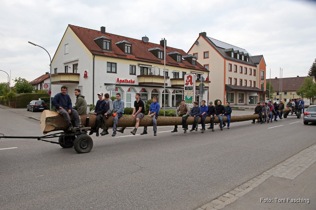 2014-04-29_51_Maibaum_holen_TF.JPG