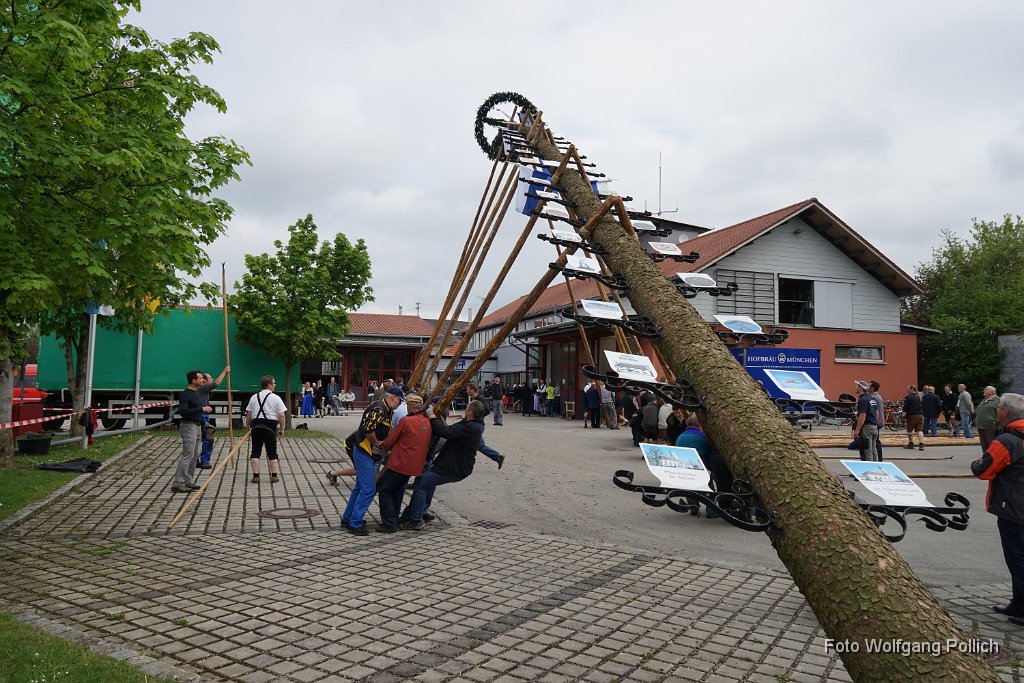 2014-05-01_001_Maibaum_Aufstellen_WP.JPG