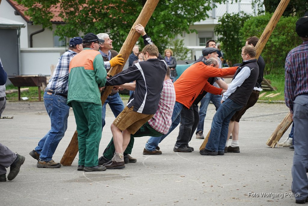 2014-05-01_009_Maibaum_Aufstellen_WP.JPG