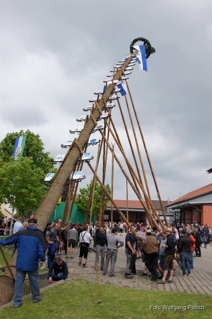 2014-05-01_041_Maibaum_Aufstellen_WP.JPG