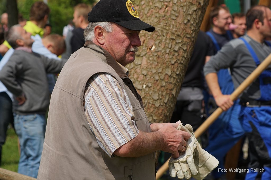 2014-05-01_049_Maibaum_Aufstellen_WP.JPG