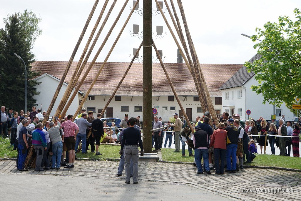 2014-05-01_070_Maibaum_Aufstellen_WP.JPG