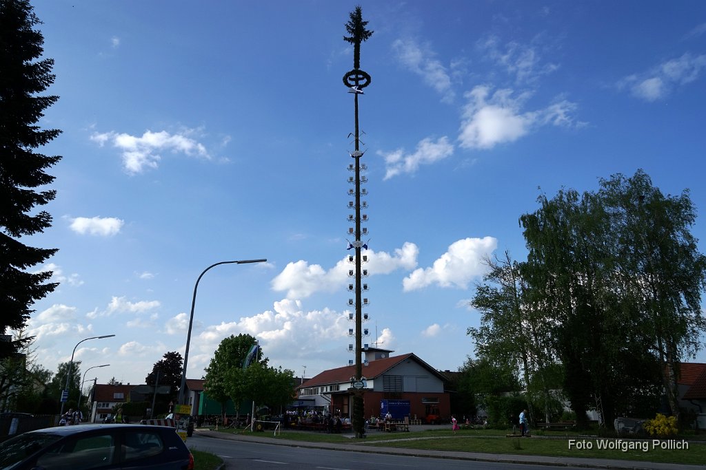 2014-05-01_095_Maibaum_Aufstellen_WP.JPG