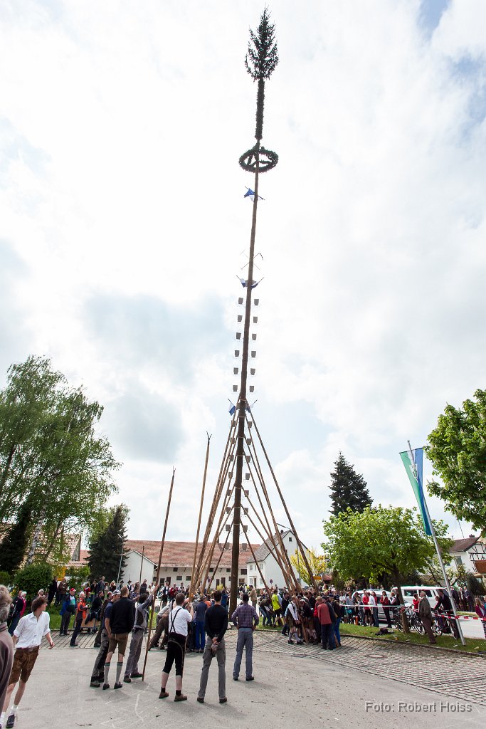 2014-05-01_49_Maibaum_9091_RH.jpg