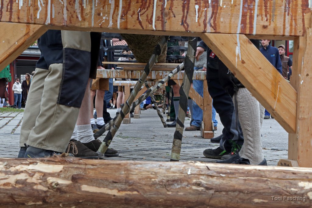2014-05-01_001_Maibaum_aufstellen_TF.JPG
