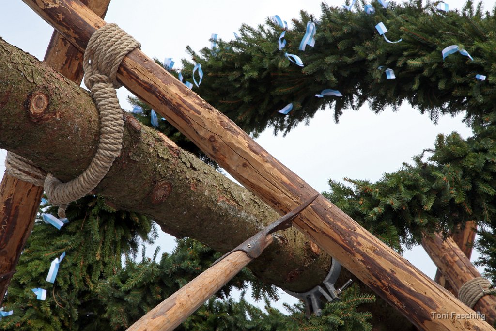 2014-05-01_012_Maibaum_aufstellen_TF.JPG