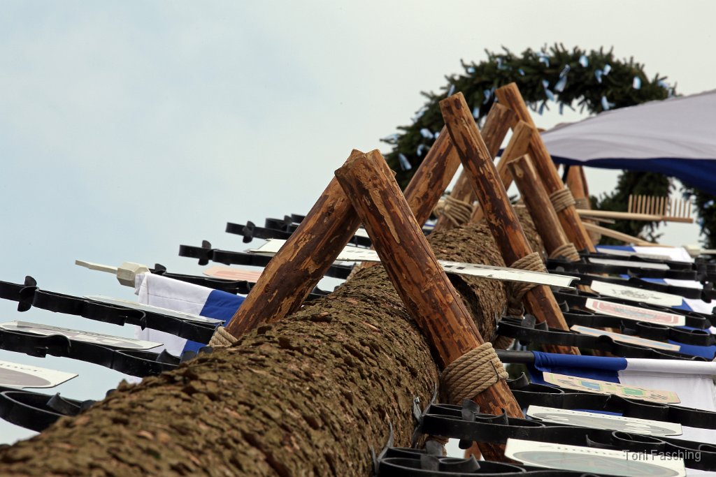2014-05-01_022_Maibaum_aufstellen_TF.JPG
