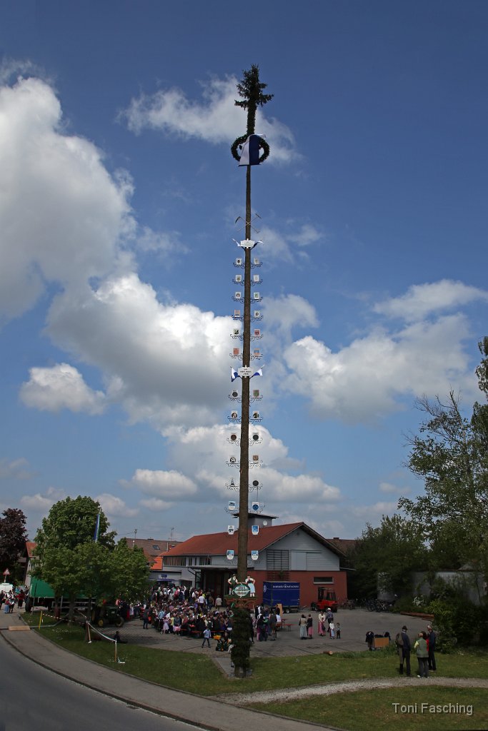 2014-05-01_088_Maibaum_aufstellen_TF.JPG