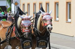 2014-06-01_083_Umzug_Fahnenweihe_KB