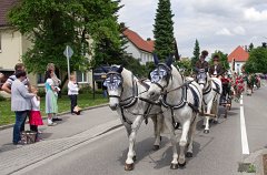2014-06-01_024_Fahnenweihe_Umzug_MP