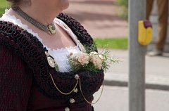 2014-06-01_101_Fahnenweihe_Umzug_MP