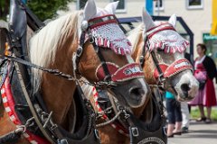 2014-06-01_123_Moasawinkler_Festzug_3226_RH