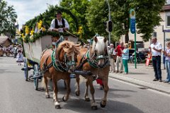 2014-06-01_97_Moasawinkler_Festzug_3107_RH