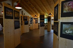 2014-07-25_12_Pfarrfest_Fotoausstellung_0883_TU