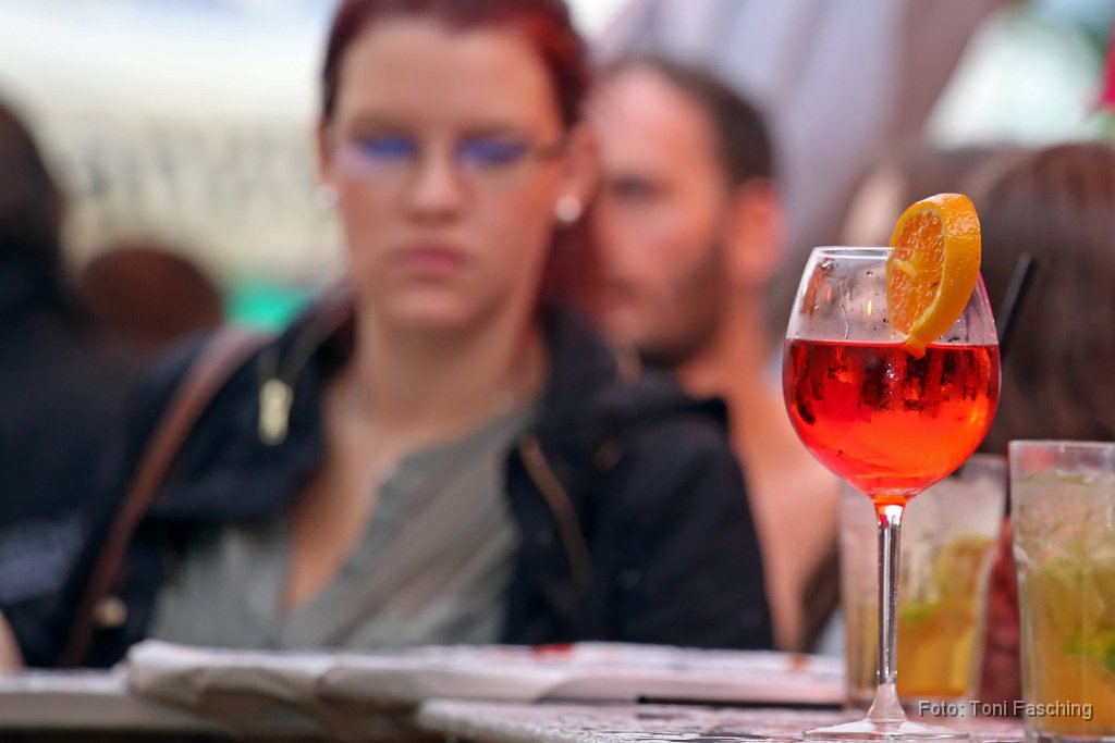 2014-08-03_083_Gartenfest_KBV_TF.JPG