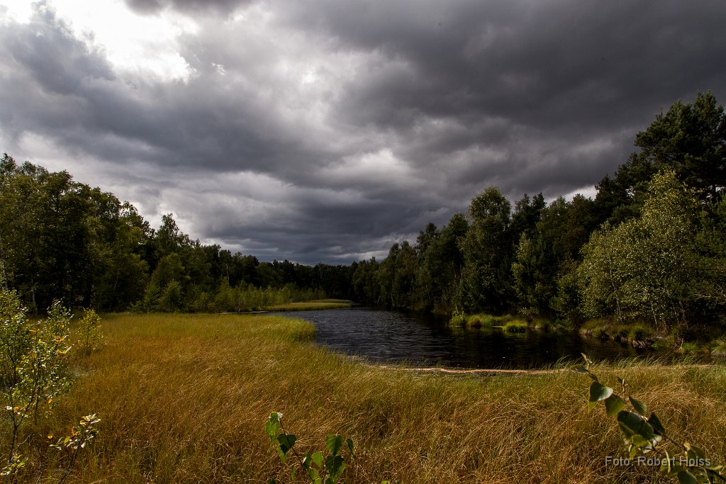 2014-08-31_27_Haspelmoor_3373_RH.jpg
