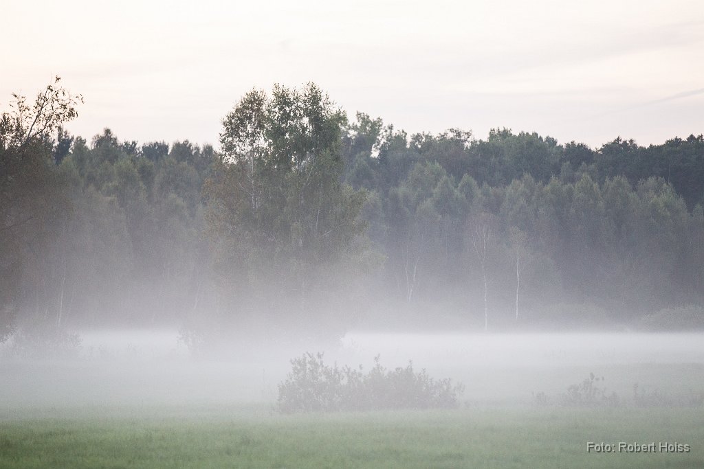 2014-09-31_21_Herbst_0537_RH.jpg