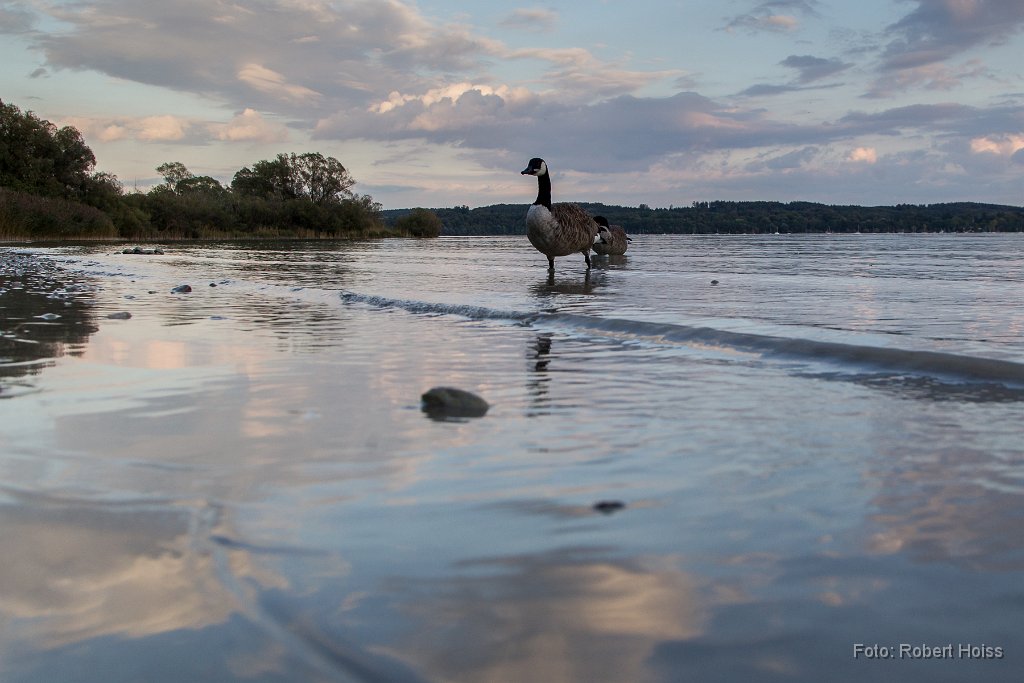 2014-09-31_30_Ammersee_0733_RH.jpg