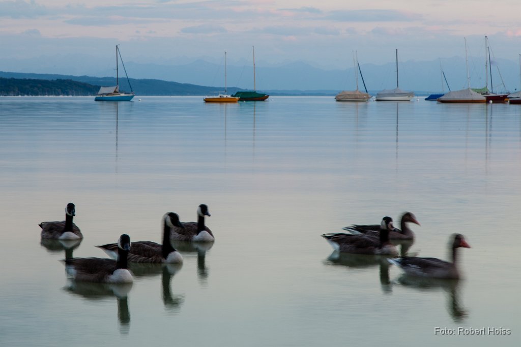 2014-09-31_34_Ammersee_5493_RH.jpg