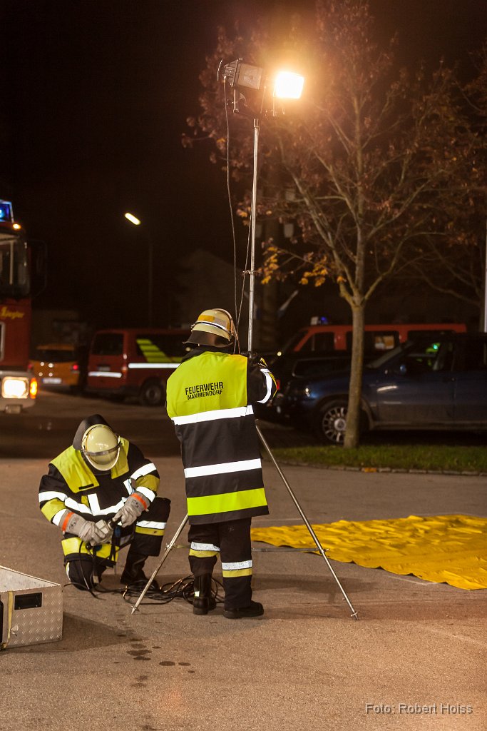 2014-10-31_49_Feuerwehr_Leistungsabzeichen_8279_RH.jpg