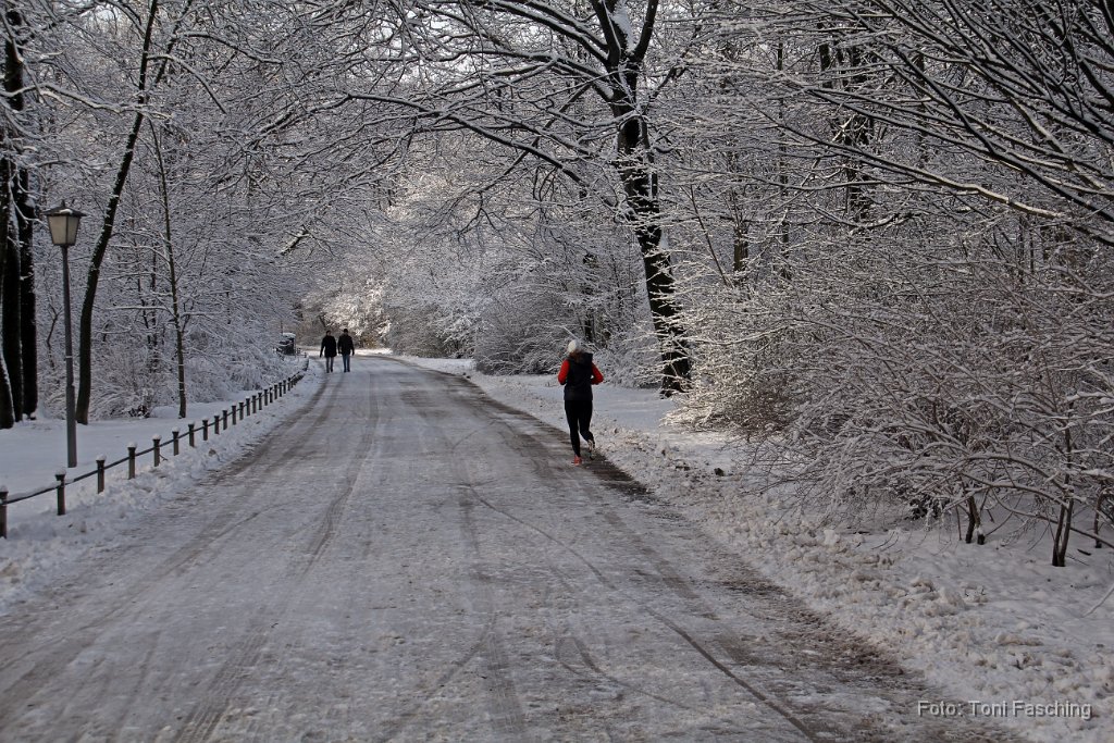 2015-01-28_01_Englischer-Garten_TF.JPG