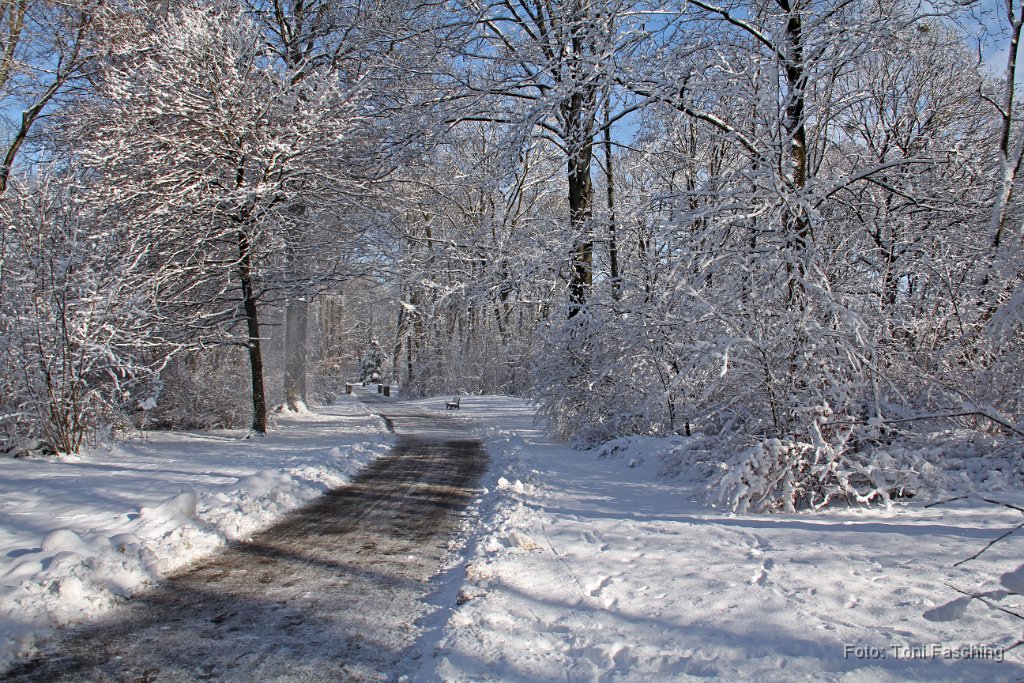 2015-01-28_07_Englischer-Garten_TF.JPG