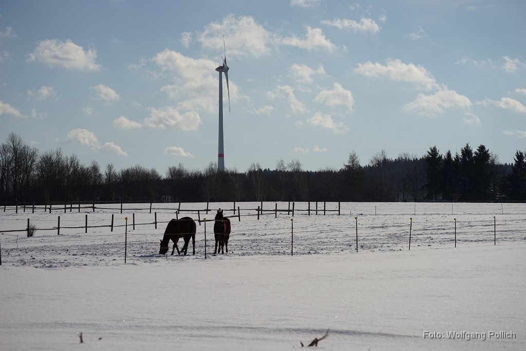 2015-01-31_16_Impressionen_Januar_20150131_WP.JPG